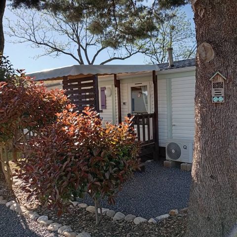 Mobilheim 4 personen - Komfort "Mimose - Margerite - Krokus - Hyazinthe" 2 Zimmer Klimatisiert