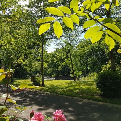 Stellplatz - Flussseite: Auto + Zelt/Wohnwagen oder Wohnmobil