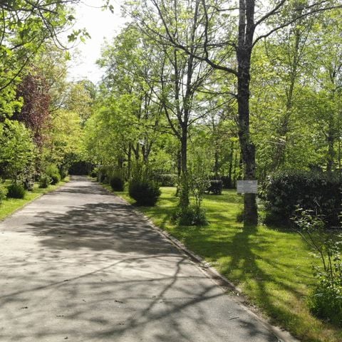 STAANPLAATS - Locatie : Tent + fiets