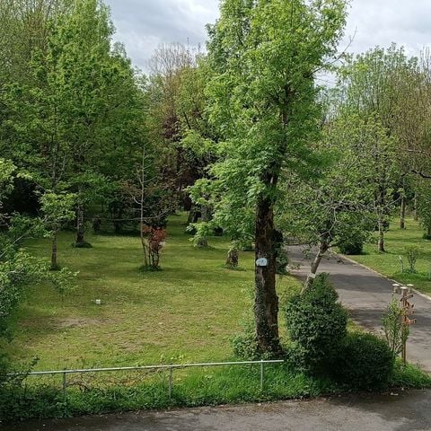 Stellplatz - Stellplatz: Zelt + Fahrrad