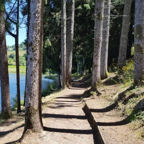 Camping Val Saint Jean - Camping Cantal - Image N°4