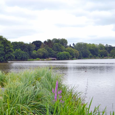 Pitch - RANDO PACKAGE - Pitch + tent