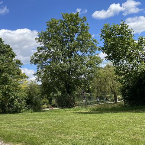 PIAZZOLA - PACCHETTO CLASSICO-1 PERSONA Veicolo + Elettricità 10 A