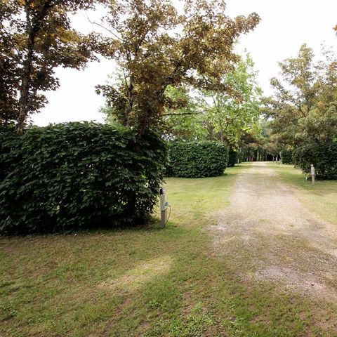 Stellplatz - Stellplatz Confort + Strom 6A