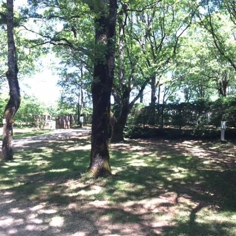 PIAZZOLA - Piazzola Privilege XL + elettricità 6A