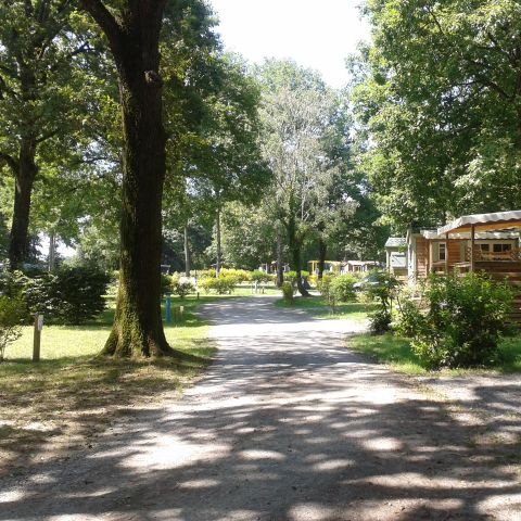 Camping OAKi - Camping Vendée