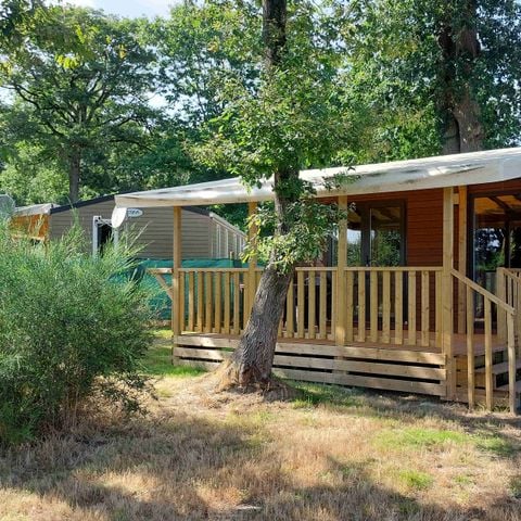 Mobilheim 4 Personen - Tanne 2 Zimmer 29m²