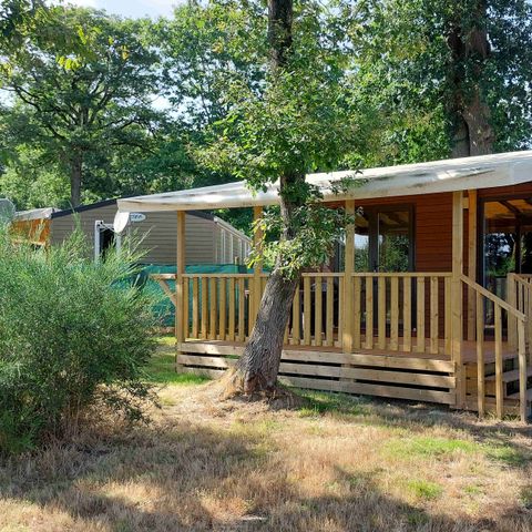 MOBILHOME 4 personas - Sapin 2 habitaciones 29m² - Abeto