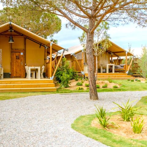 Canvas and wooden tent 4 persons - Glamping Mar