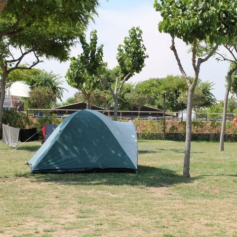 Pitch - Car + tent or caravan + electricity