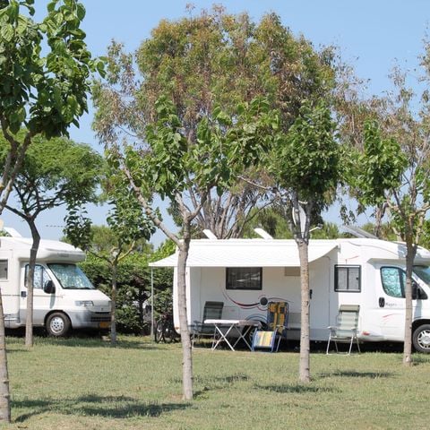 Pitch - Car + tent or caravan + electricity