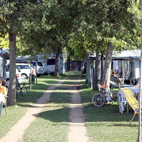 Pitch - Car + tent/caravan or camper + 6A electricity