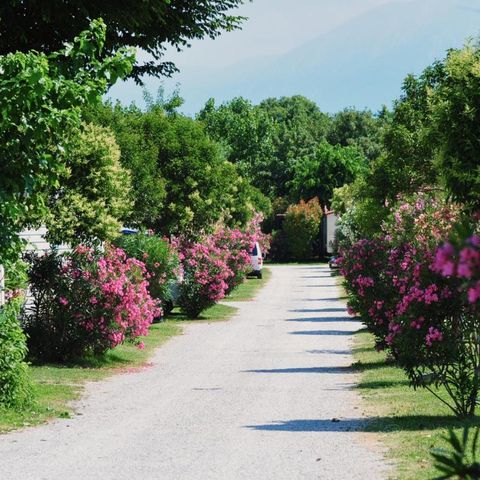 Camping Baia Verde Camping Baia Verde - Camping Brescia - Image N°33