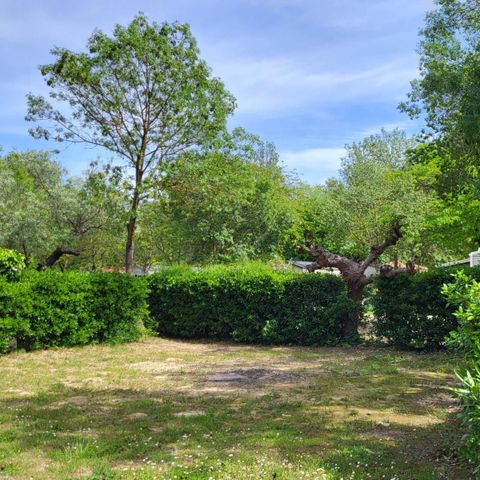 Stellplatz - Pauschale CAMPING PREMIUM (1 Zelt/ Wohnwagen + 1 Auto) - inkl. Strom 16A