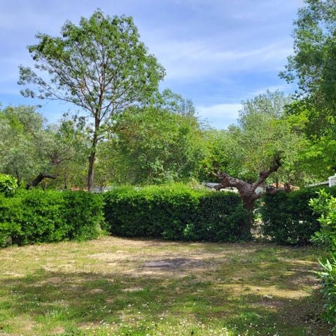 Pitch - PREMIUM CAMPING package (1 tent/caravan + 1 car) - electricity included 16A