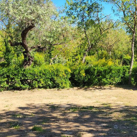 Pitch - PREMIUM CAMPING package (1 tent/caravan + 1 car) - electricity included 16A