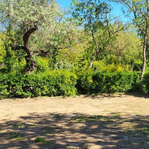 PLOT - PREMIUM CAMPING package (1 tent/caravan + 1 car) - electricity included 16A