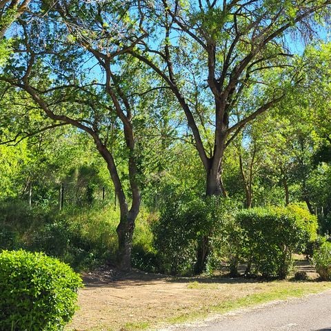 Pitch - VELO AND RANDONNEURS home - without electricity -