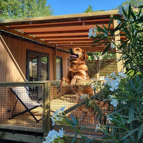 CASA MOBILE 6 persone - Casa mobile PREMIUM 32m² - 3 camere da letto - TV - lavastoviglie - aria condizionata - terrazza -