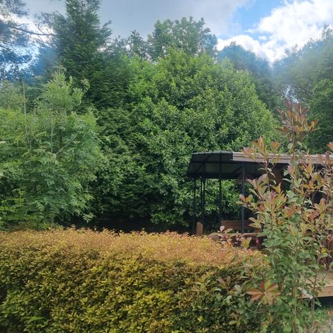 Safarizelt 6 Personen - Chalet Toilé Prémium