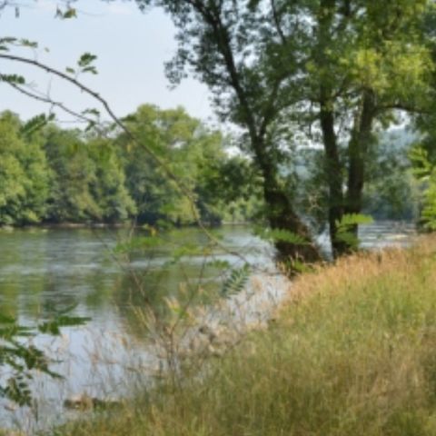 PLOT - Location Bord Dordogne