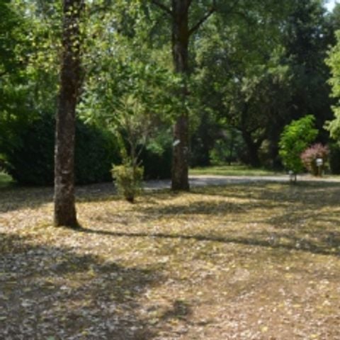 Kampeerplaats - Locatie