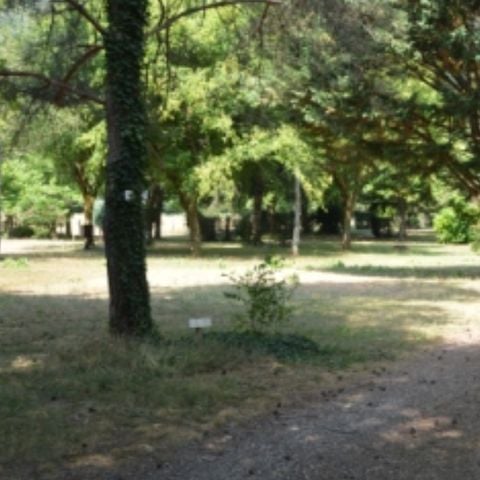 Kampeerplaats - Locatie