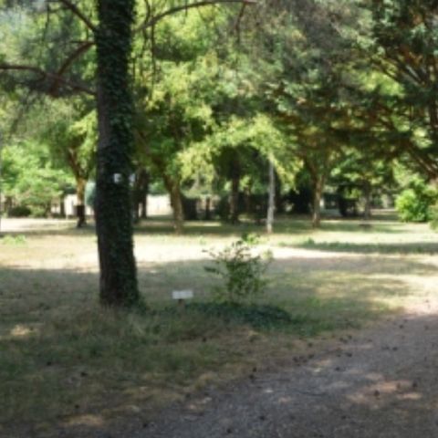 PIAZZOLA - Posizione