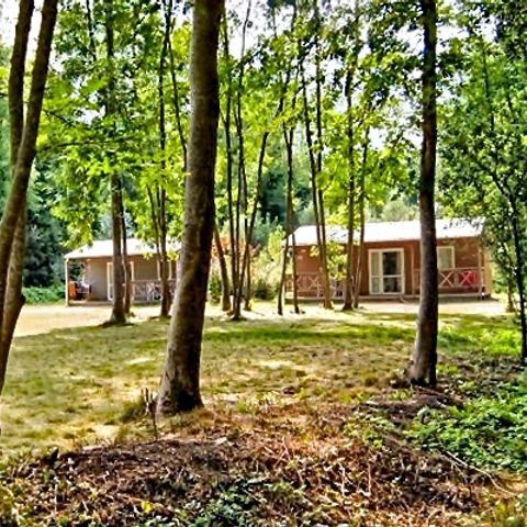 CHALET 8 people - 3 rooms for 6/8 persons