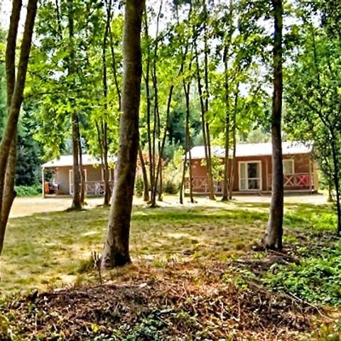 CHALET 8 persone - 3 camere per 6/8 persone