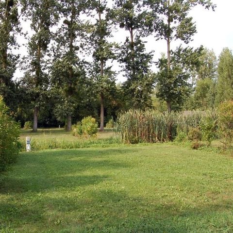 STAANPLAATS - Standplaats ECO - 120 m² - 2 volwassenen en 1 auto