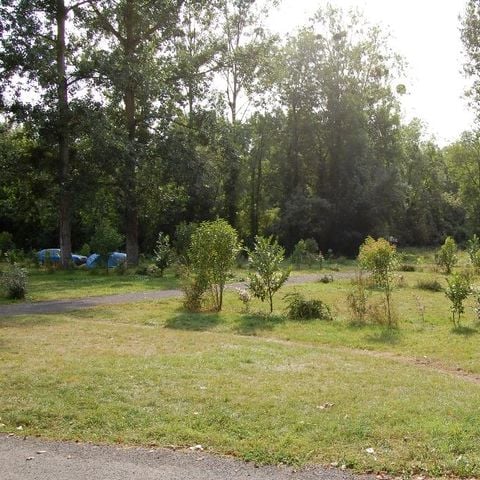 EMPLACEMENT - Emplacement ECO - 120 m² - 2 adultes et 1 voiture