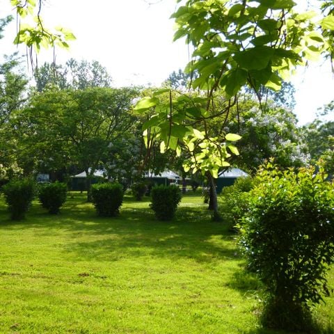 PLOT - Camping for tents, caravans or motorhomes without electricity