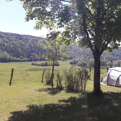 Stellplatz - Stellplatz für Zelt oder Wohnwagen (1 Auto inklusive) ohne Strom