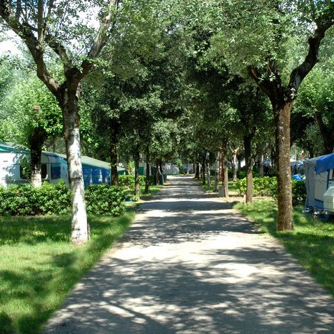 EMPLACEMENT - Standard 