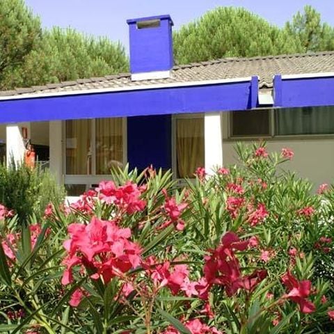 BUNGALOW 4 persone - Superiore