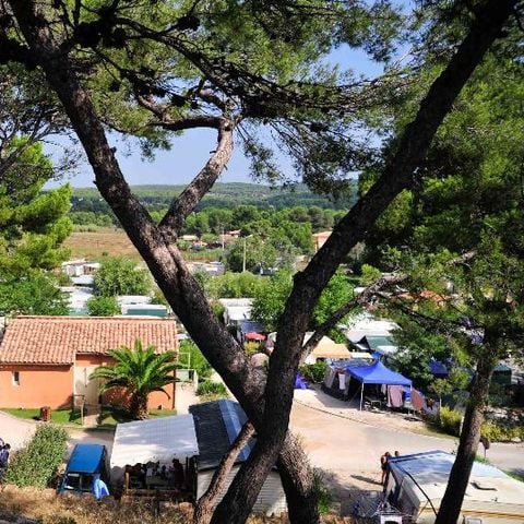 Pitch - Pitch for tent or caravan or camper van
