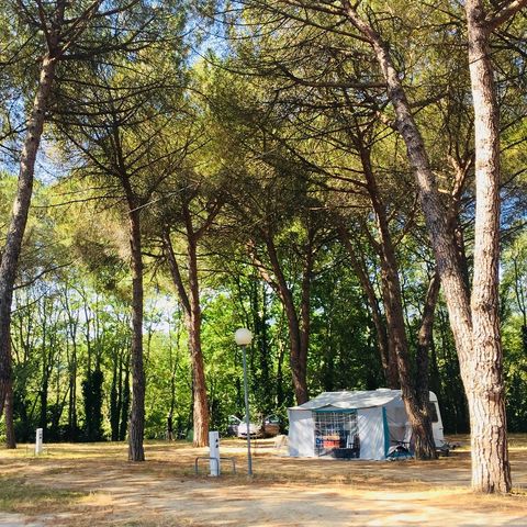 PIAZZOLA - Pacchetto standard con elettricità