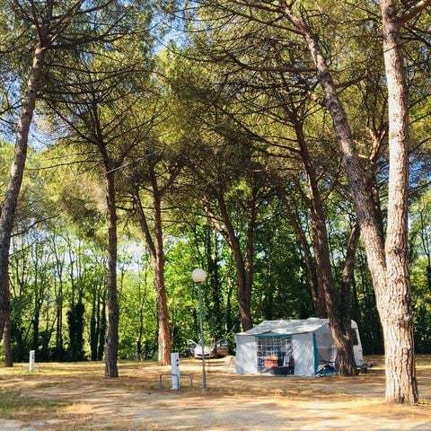 PLOT - Standard package with electricity