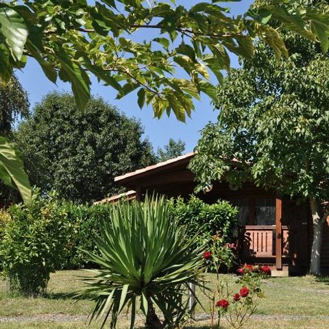 Camping Midi Pyrénées Camping Midi Pyrénées - Camping Haute-Garonne - Image N°26