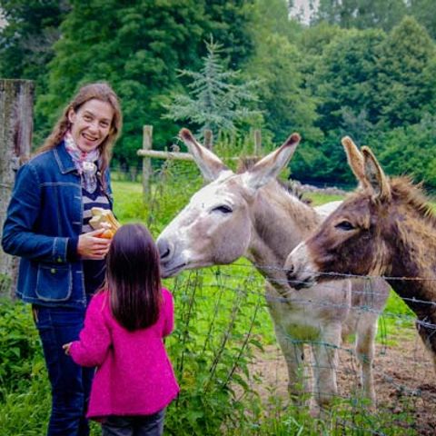 Camping Paradis Val de Trie - Camping Somme - Image N°4