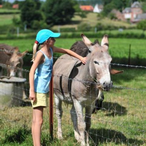 Camping Paradis Val de Trie - Camping Somme - Image N°5