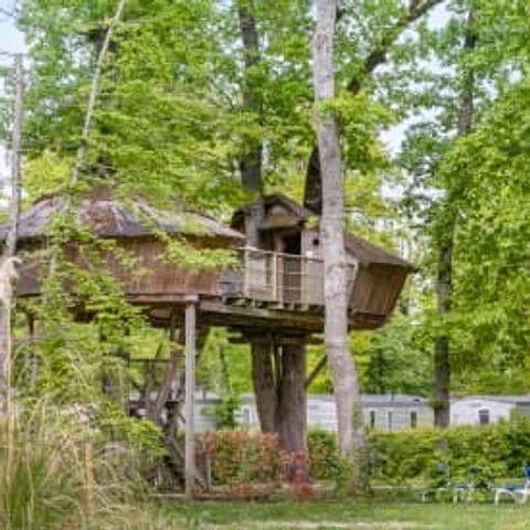 HÉBERGEMENT INSOLITE 5 personnes - Cabane dans les arbres