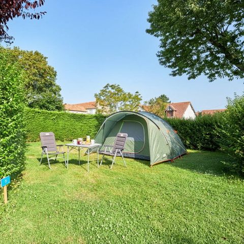 STAANPLAATS - Standplaats | Essentieel | Alleen tent | <85m² | Elektriciteit | Geen water