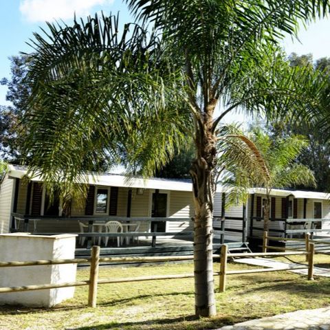 MOBILHOME 6 personas - DELUXE