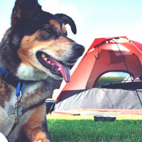 PIAZZOLA - Posizione