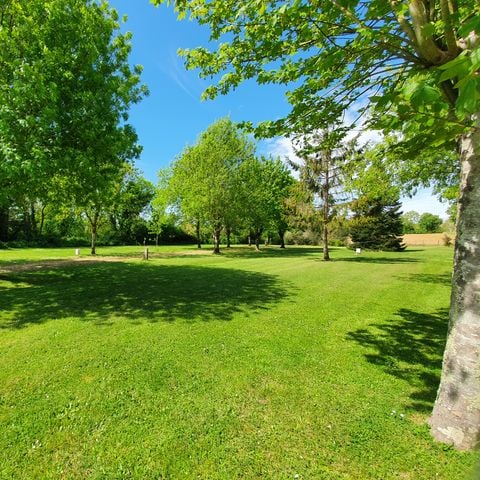 PIAZZOLA - Pacchetto di lancio