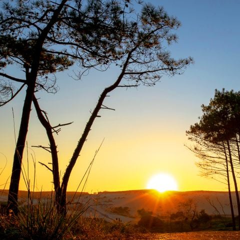 Camping Village Resort et Spa Le Vieux Port Camping Village Resort et Spa Le Vieux Port - Camping Landes - Image N°70