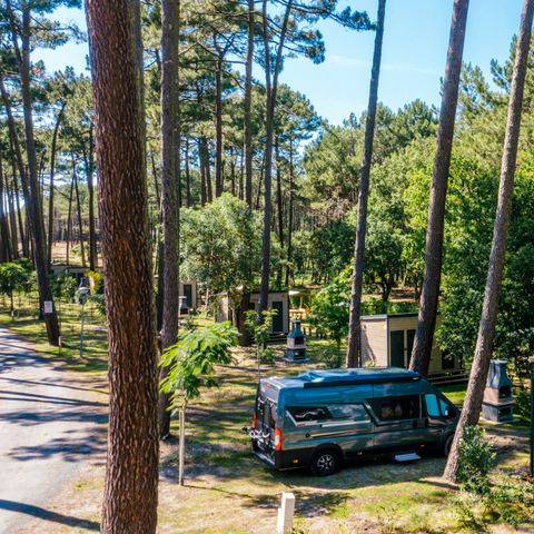 Camping Village Resort et Spa Le Vieux Port Camping Village Resort et Spa Le Vieux Port - Camping Landes - Image N°21