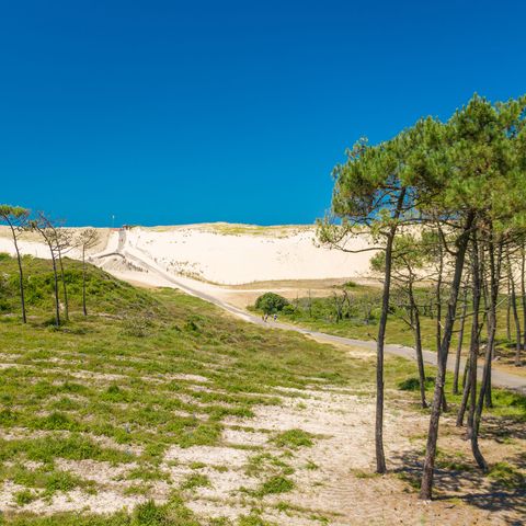 Camping Village Resort et Spa Le Vieux Port à MESSANGES, tarifs et ...